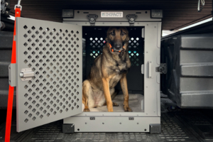 Impact Dog Crate with dog inside